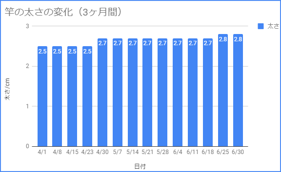 3ヶ月間のペニスの太さの経過記録