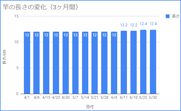 3ヶ月間のペニスの長さの経過記録