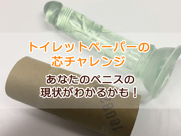 【巨根測定】トイレットペーパーの芯を使った簡単なチンコサイズ測定方法