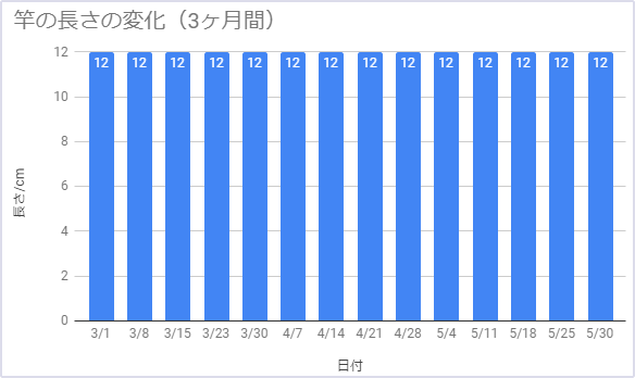 リゾルブを3ヶ月間飲んでいるときの竿の長さの変化を経過記録したグラフ